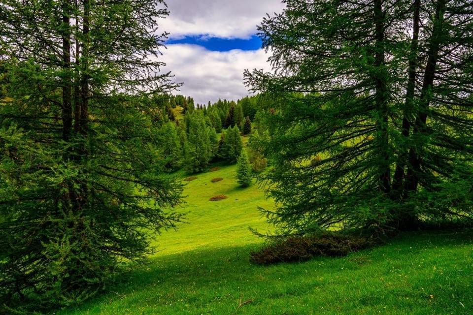 Eco-Hotel Et Yourtes Du Mercantour Guillaumes Luaran gambar